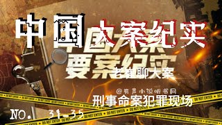 中国大案纪实【 31 35 】【有声小说】 【有声书】【懒人听书】【听书】