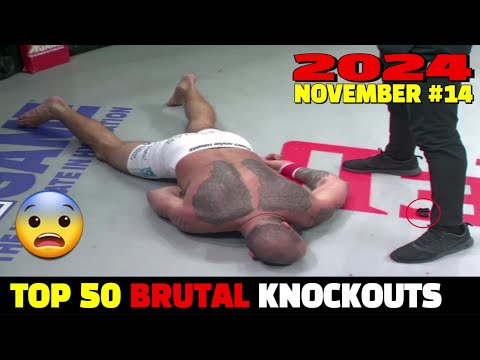 Top 50 Brutal Knockouts November 2024 #14 (MMA•Muay Thai•Boxing•Kickboxing)