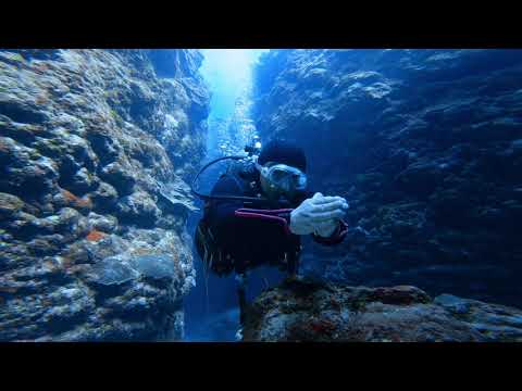 KANATA Diving projectダイビングツアー動画【沖縄／渡嘉敷島②】