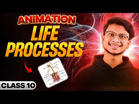 Class 10- Life process 1 SHOT🔥 Animation🔥 Science chapter 5