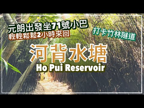 【香港好去處】河背水塘：竹林大道｜香港少有S型堤壩｜2小時來回 輕輕鬆鬆行河背水塘家樂徑｜附詳細行山路線｜Ho Pui Reservoir Hiking Route（English cc Sub)