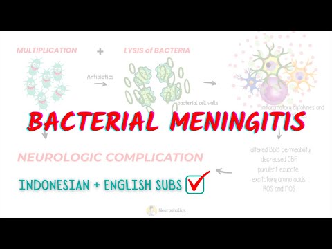 Bacterial meningitis CNS Infection | Neuroaholics