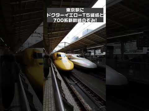 これを見たら幸せになれる？  #電車　#ドクターイエロー　#東京駅