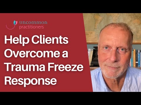 How to Help Your Client Overcome a Trauma Freeze Response | Mark Tyrrell