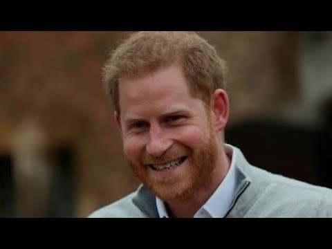 Real Reason Behind Prince Harry's Portugal Purchase REVEALED