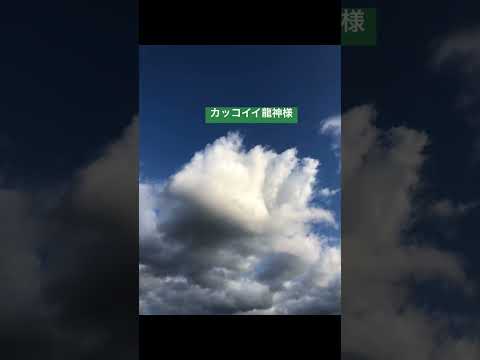 新春の空にカッコイイ龍神様🐉 #short #shorts #空と雲 #龍神雲 #龍神様