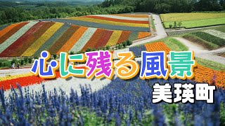 美瑛町 四季彩の丘 色とりどりの鮮やかな丘の風景を 広大な敷地に感動【4K】北海道 道北 美瑛 感動旅行 癒し観光 《hokkaido》日本の絶景