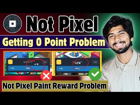 Notpixel Point Not Add Problem | not pixel how to play, not pixel paint reward