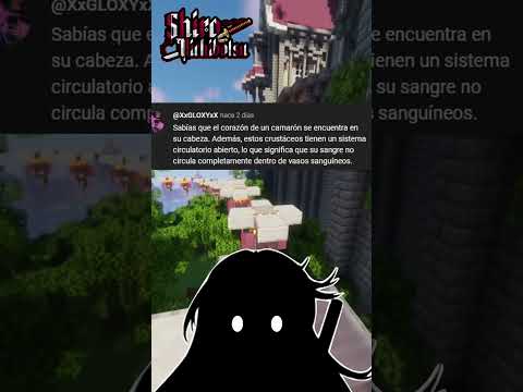 Última parte nwn #pngtuber #vtuber #vtuberespañol #anime #otaku #weeb #parati #fy #fypシ゚viral #fypシ