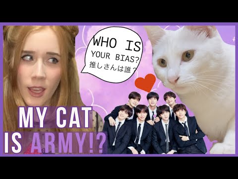 My cat is BTS ARMY??? 猫がARMYなの？？？