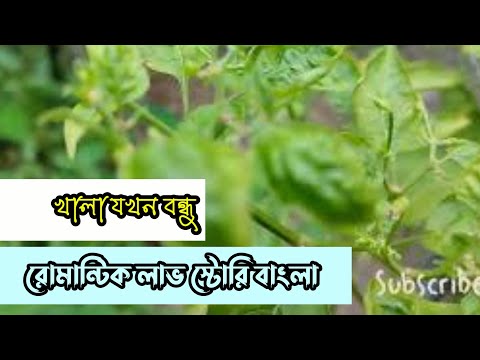 খালা যখন বন্ধু || রোমান্টিক লাভ স্টোরি বাংলা ||Anika Dairy