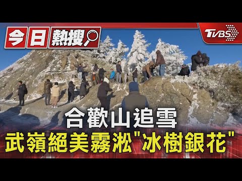 合歡山追雪 武嶺絕美霧淞「冰樹銀花」｜TVBS新聞 @TVBSNEWS01