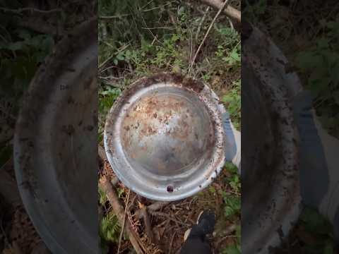 This is a Vintage 1950s/40s Plymouth Hubcap that I found while exploring throughout the forest.