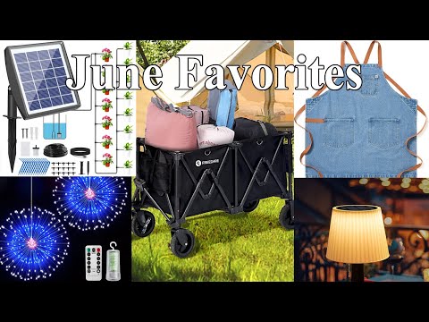 June 2023 favorite things