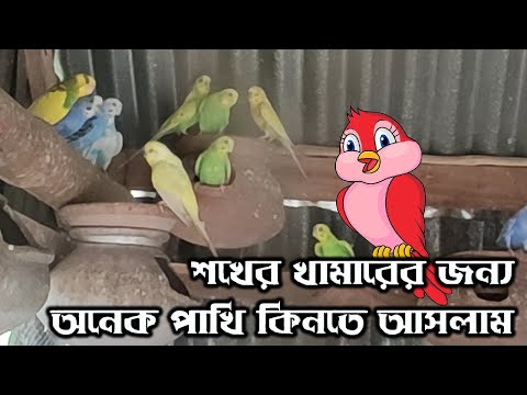 শখের খামারের জন্য অনেক পাখি কিনতে আসলাম | বাজিকর পাখি পালন | Rupkothar Golpo