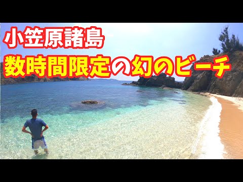 母島観光のおすすめスポット 蓬莱根海岸(小笠原諸島)