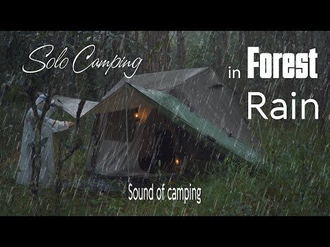 [4k] Solo Camping in Rain Forest | Rain, Asmr | Hồ Tuyền Lâm