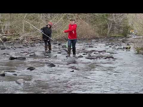 There are still amazing ways to catch fish like this in the world.