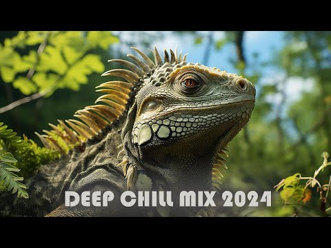 XxX - Deep Chill Mix 2024 🌴  Dj Goja 🌴  Suleymer  🌴 #004