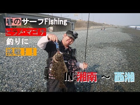 【春サーフFishing】ヒラメ炸裂！湘南～西湘エリアをランガンする！