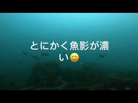 夏らしい川奈の海(^^)