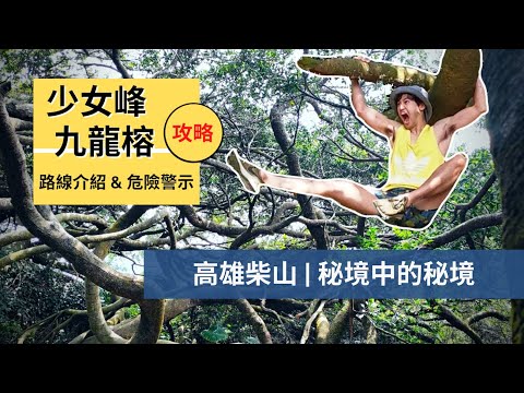 【少女峰x九龍榕】 | 高雄柴山秘境中的秘境｜九龍榕怎麼去？會觸法嗎？