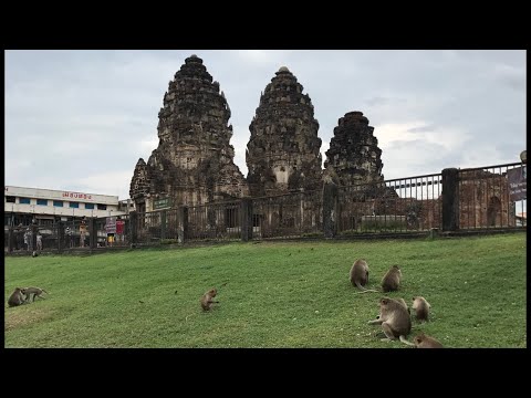 ลิงลพบุรี 🐒ประวัติศาสตร์กลางเมือง Monkey @Lopburi, 2018