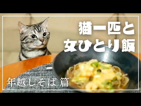 夫不在につき、猫に見守られながら年越し蕎麦をすする【猫一匹と女ひとり飯】