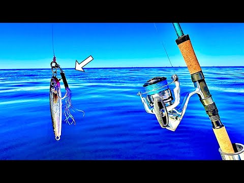 Reef Fishing with Micro Jigs in the Gulf of Mexico! [Multiple Species]