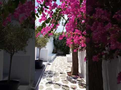 #greece 5 #fypシ゚viral #fyp #free #green  #travel #travelling #love #best #shorts #reels #drone