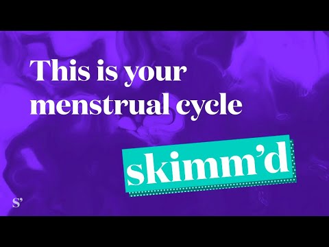 What Really Happens During Your Menstrual Cycle