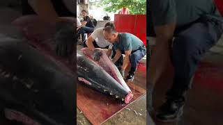 Giant bluefin tuna cutting Master東港專業黑鮪魚切割大師 鈴木一凸