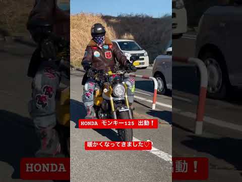 HONDAモンキー125❣️