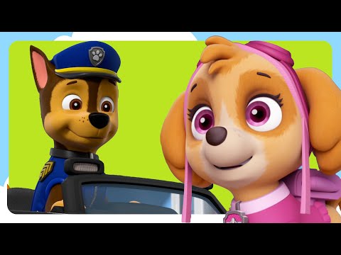 1 Hour of Skye and Chase Rescues | PAW Patrol | Cartoons for Kids