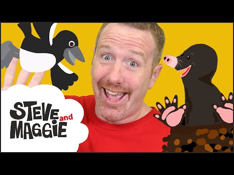 Big Blocks Crazy Story with Steve and Maggie | English Stories for Kids | Wow English TV