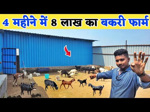 बकरी पालन में जबरदस्त कमाई का फार्मूला सीखिए | Bakri palan me kitna fayda hai