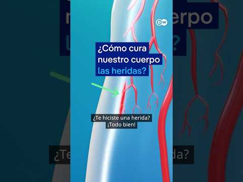 😱 Datos que no conocías: De esta forma el cuerpo cura las heridas #shorts