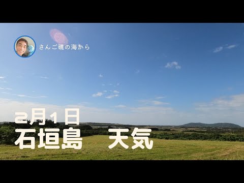 【石垣島天気】2月1日11時ごろ。15秒でわかる今日の石垣島の様子。