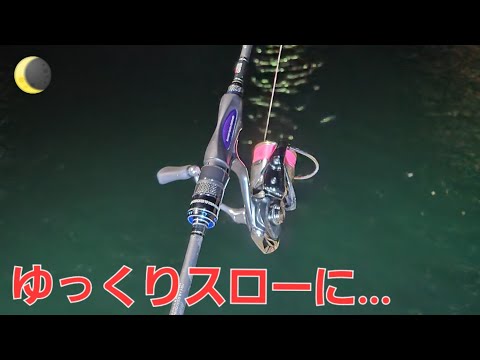 【メバリング】メバルをルアーで釣ってみたいと思ったら