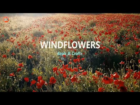 Seal & Crofts - Windflowers With Lyrics 風之花 中英動態歌詞 | 好歌推薦 | 中英字幕 | 70年代80年代90年代最美好回憶經典的英文金曲