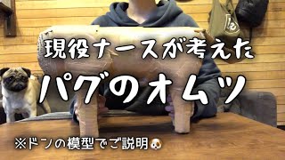 【ドンのしつけ大作戦8】現役ナースのこだわりが詰まったドン愛用のオムツをご紹介。