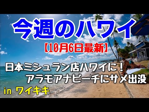 【今週のハワイ★１０月６日最新版】１週間のハワイ情報をまとめてお届け♪これを見ればハワイの今がわかる！！