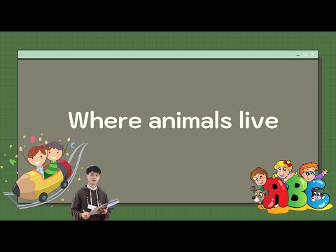 Where animals live ชั้น ป 5