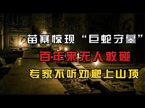 苗寨惊现“巨蛇守墓”，百年来无人敢碰，专家不听劝爬上山顶