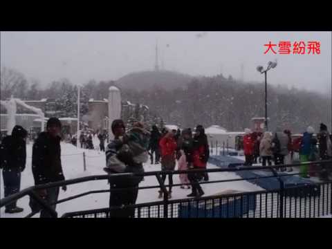 【日本北海道旅遊】大雪紛飛的旭山動物園｜冬の旭山動物園