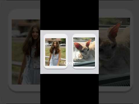 Люблю тебя, Лео❤️ #shortvideo #shorts #subscribe #ileocat #врек #котики #люблю #лето