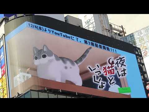 アニメ 夜は猫といっしょ 第3期 異世界 猫ミーム 伊東歌詞太郎 anime reaction 猫動画 yoruneko 猫犬 lazy cat 猫 海外の反応 新宿 japan cat