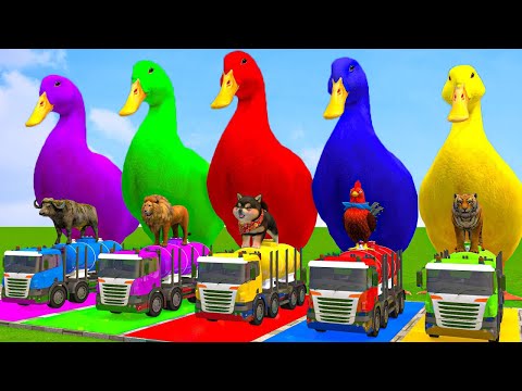 Paint & Animals Cow,Gorilla,Elephant,Lion,Tiger,Dinosaur, Fountain Crossing Transformation Cartoon