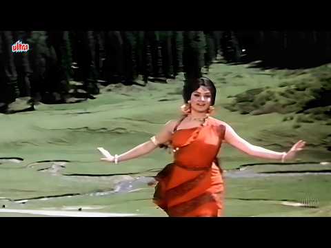 1967 में Saira Banu के इस रोमांटिक गाने ने सब को प्यार में बेचैन कर दिया | Hindi Old Song | 60s Song