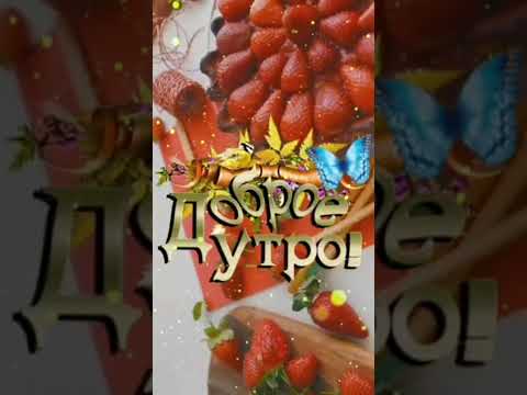 Желаю всего самого лучшего этим утром! Доброго утречка!